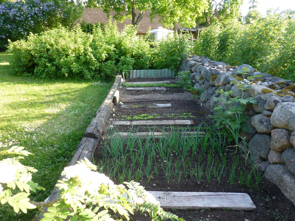 Jurna Recreation Farm Villa Upa Eksteriør billede